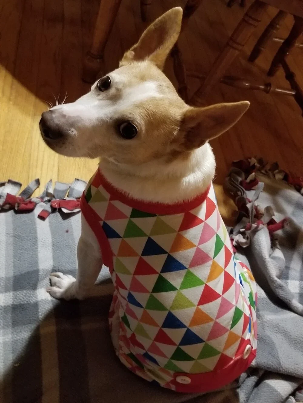 Colorful Dog Pajamas